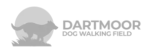 DartmoorDogWalking.co